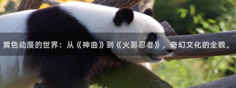 囧次元网页